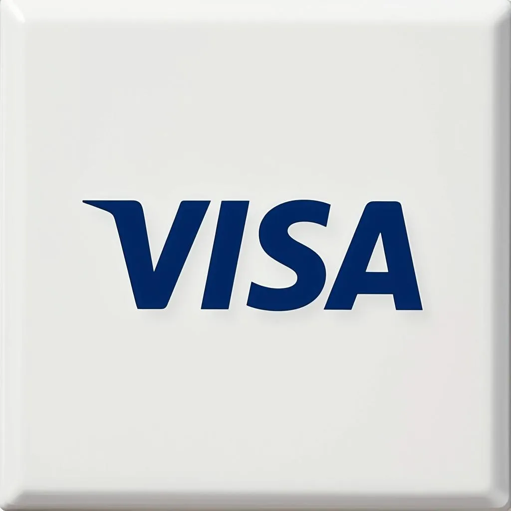 Logo Visa